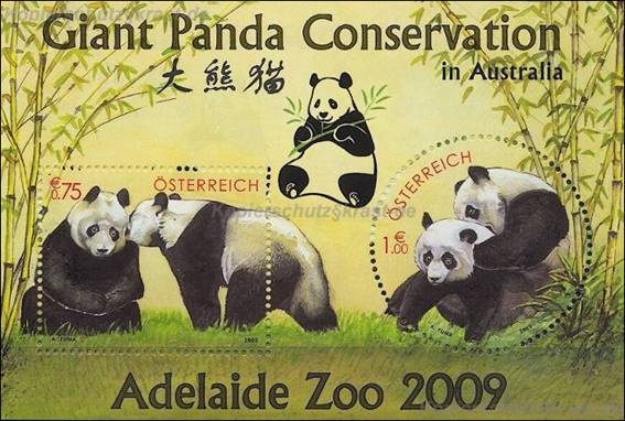 Bild zum Artikel Panda - Adelaine Zoo 2009