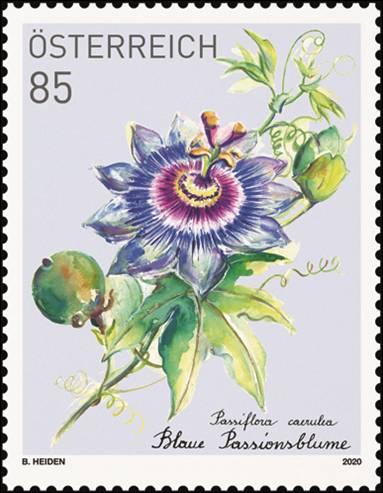 Bild zum Artikel Abonnementmarke 2019 Blaue Passionsblume