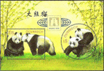 Bild zum Artikel: Panda - Beijing 2010