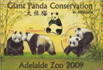 Bild zum Artikel: Panda - Adelaine Zoo 2009