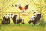 Bild zum Artikel: Panda - Thaipex