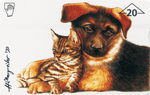 Bild zum Artikel: ANK - Hund + Katze