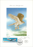 Bild zum Artikel: Das neue Aerogramm 1992