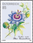 Bild zum Artikel: Abonnementmarke 2019 "Blaue Passionsblume"